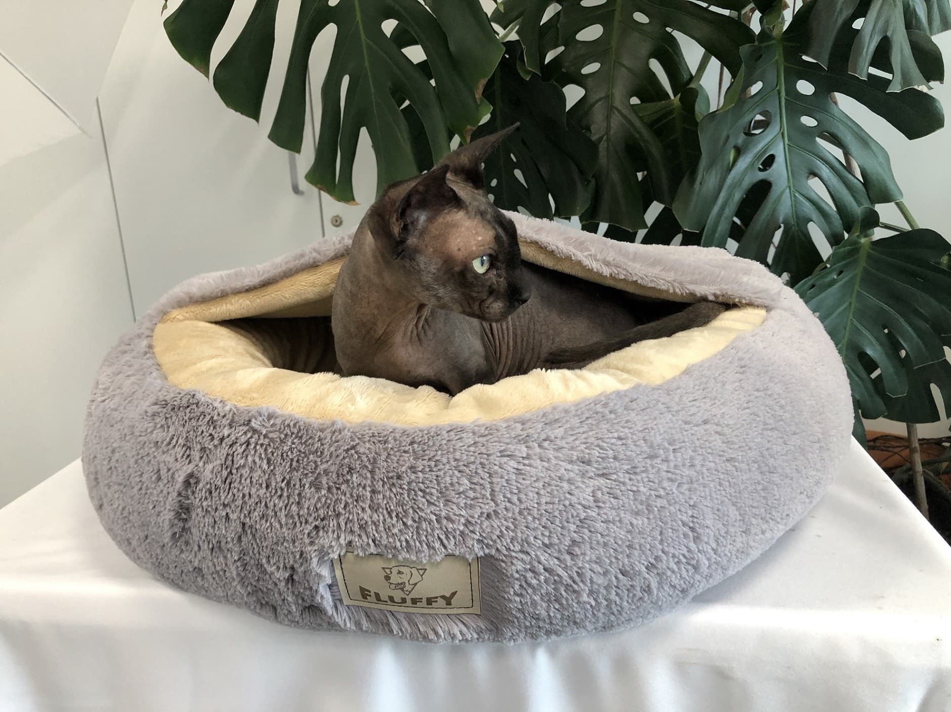 Legowisko dla psa FLUFFY 80 cm Jasnoszare